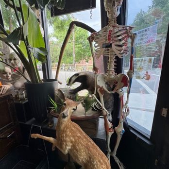 Rest in Pieces - Antiques Near Me - Richmond, Virginia Rest in Pieces - Antiques Near Me - Richmond, Virginia