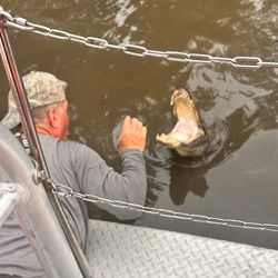 Airboat Swamp Tours of New Orleans