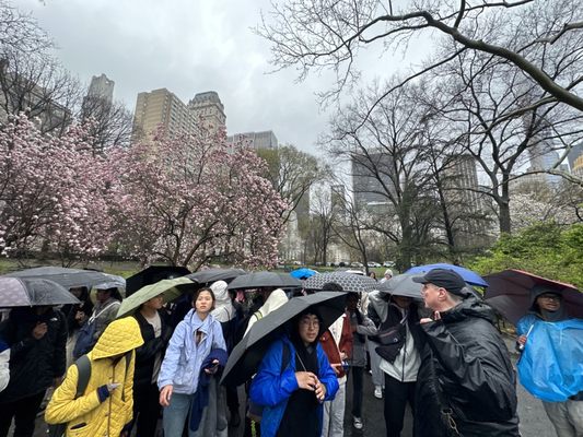 Central Park Zoo by null