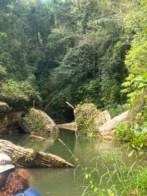 Tanama River Adventures by null