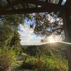 Wellstone Center in the Redwoods - The view from the library house on the property.