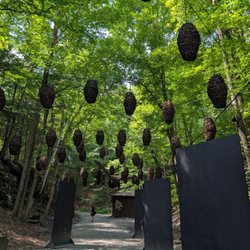 Parc de la Gorge de