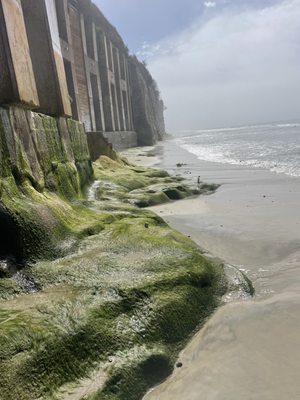 Beacon’s Beach by null