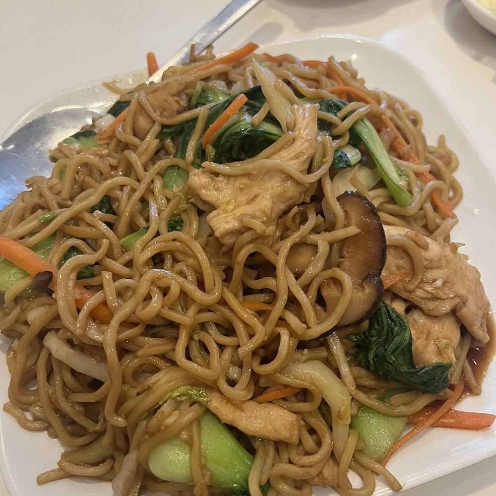 Soup Dumpling Plus - #66. Chicken Lo Mein - Shanghainese Near Me - Fort Lee, New Jersey Soup Dumpling Plus - #66. Chicken Lo Mein - Shanghainese Near Me - Fort Lee, New Jersey