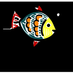 The Doodle Fish Studio