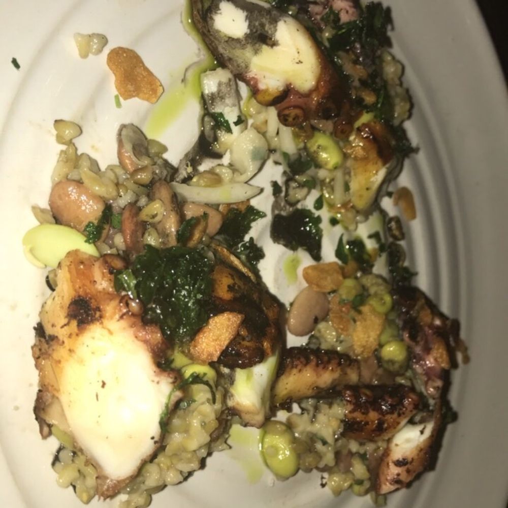 Gypsy Kitchen - Grilled Octopus - Spanish Near Me - Atlanta, Georgia