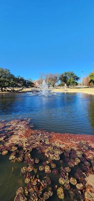 University of Mary Hardin-Baylor