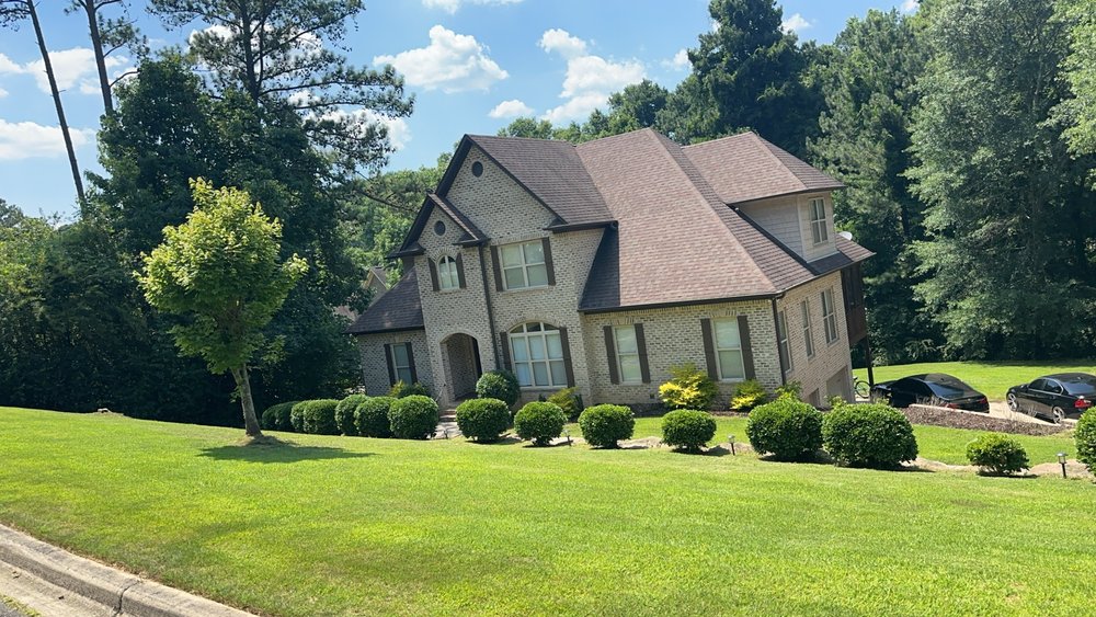 Your Vision Service - tree service in Mulga, AL