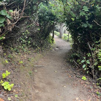 Trinidad Head Beach - Hiking Near Me - Trinidad, California