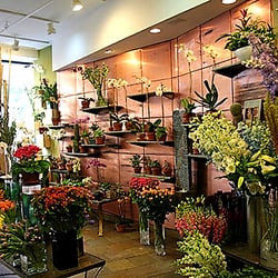 Trollingers Florist