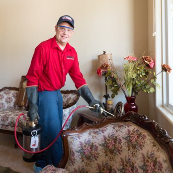MSA Pest Control - Pest Control Near Me MSA Pest Control - Pest Control Near Me