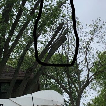 All 4 Seasons Tree Service - Tree Services Near Me - Oshkosh, Wisconsin All 4 Seasons Tree Service - Tree Services Near Me - Oshkosh, Wisconsin
