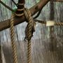 Photo of Utah's Hogle Zoo