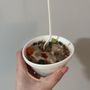 Photo of Primo Water Ice