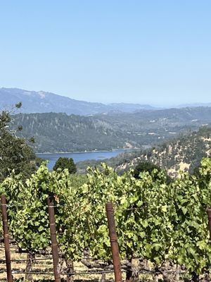 Chappellet Winery by null