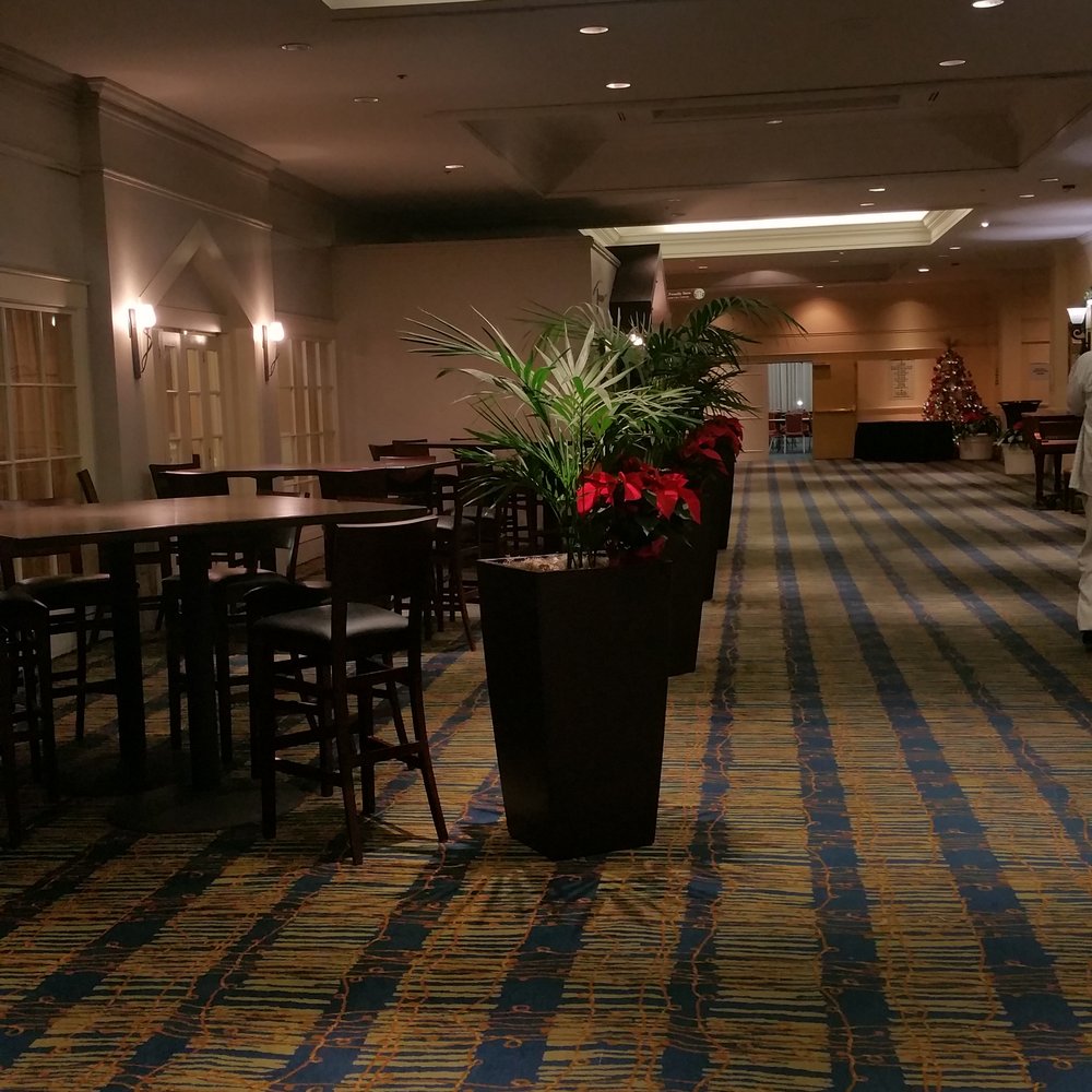 Hilton Pasadena - Hotels Near Me - Pasadena, California Hilton Pasadena - Hotels Near Me - Pasadena, California