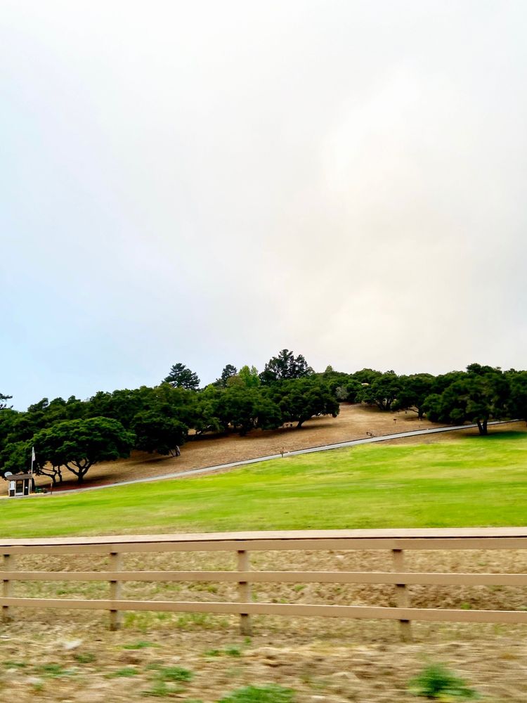 ROYAL OAKS COUNTY PARK Updated September 2024 537 Maher Rd