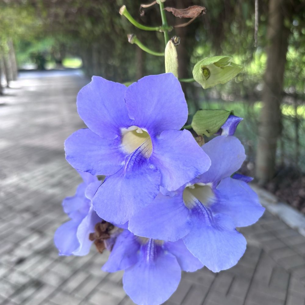 Botanical Gardens - Botanical Gardens Near Me - Hialeah, Florida
