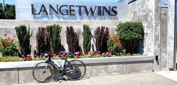 LangeTwins Family Winery and Vineyards by null