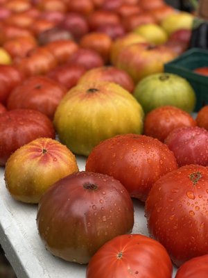 Dane County Farmers' Market by null