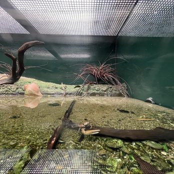 ZooAmerica - Zoos Near Me - Hershey, Pennsylvania