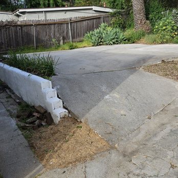 Think Green Tree Care - Tree Services Near Me - Beverly Hills, California Think Green Tree Care - Tree Services Near Me - Beverly Hills, California