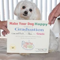 Make Your Dog Happy - Havanese Gracie