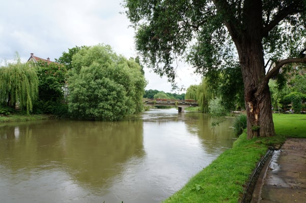 Hôtel des Berges et Spa des Saules [Haeberlin] by null