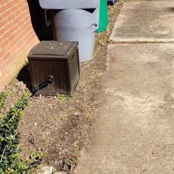 The Lawn Stylist - After - Lawn Services Near Me