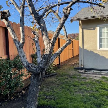 High Quality Fence - New fence - Fences & Gates Near Me - Manteca, California High Quality Fence - New fence - Fences & Gates Near Me - Manteca, California