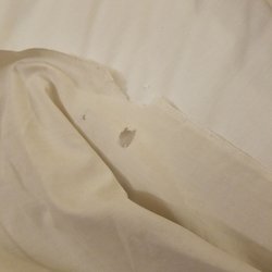 Flushing Motel - See bed sheet look like a mouse gnawed through it