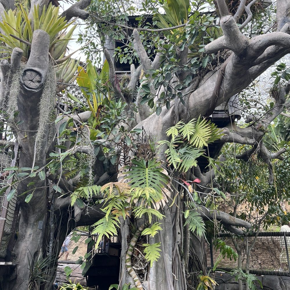 San Diego Botanic Garden - Botanical Gardens Near Me - Encinitas, California