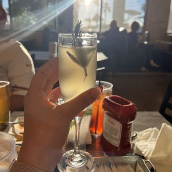 HELLUVA Brewing Company - Elderflower ginger mimosa - Brewpubs Near Me - Chandler, Arizona HELLUVA Brewing Company - Elderflower ginger mimosa - Brewpubs Near Me - Chandler, Arizona