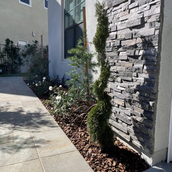 Pristine Scapes - a small tree in front of a house - Artificial Turf Near Me - Orange, California Pristine Scapes - a small tree in front of a house - Artificial Turf Near Me - Orange, California