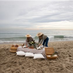 Picnic essentials ~ Design and decor for all of your occasions worth celebrating