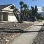 Photo of L&P Tree Service