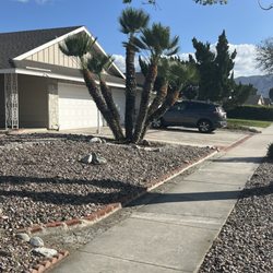 L&P Tree Service