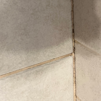 Merry Maids - Master bath after cleaning. - Home Cleaning Near Me - Granada Hills, California Merry Maids - Master bath after cleaning. - Home Cleaning Near Me - Granada Hills, California