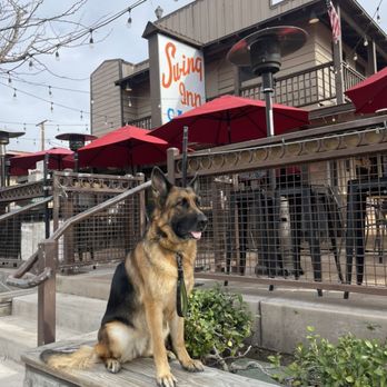 K-9 Imperator - Lizzie in old town Temecula - Pet Training Near Me