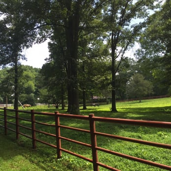 A Step Above Stables - Horseback Riding Near Me - Blairsville, Georgia