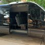 Photo of M&M Austin Limousines