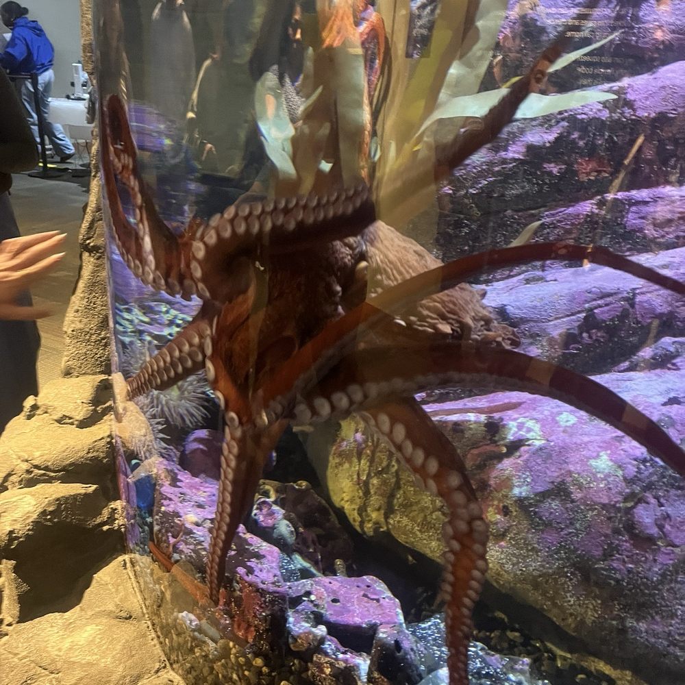 Seattle Aquarium - Aquariums Near Me - Seattle, Washington Seattle Aquarium - Aquariums Near Me - Seattle, Washington