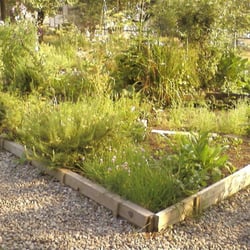 Wall Street Community Garden