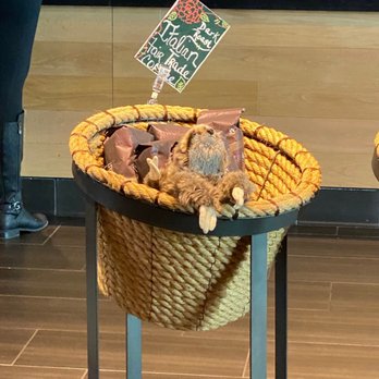 Starbucks - a teddy bear in a basket on a table - Coffee & Tea Near Me - Cleveland, Ohio