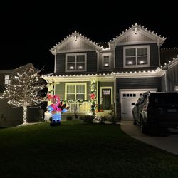 Elf Pros