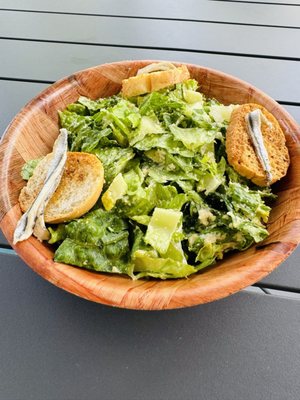 Message in a Bottle by null