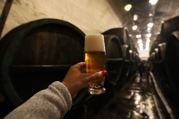 Pilsner Urquell Brewery by null