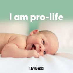 Rose of Sharon Pregnancy Resource Center