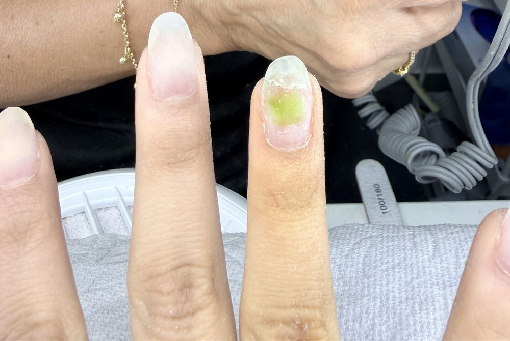 New Schibolo Nails Logo