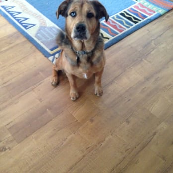 Arizona Floors & More - Flooring Near Me - Phoenix, Arizona